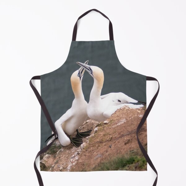 Item preview, Pair of gannets designed and sold by HazelWright.
