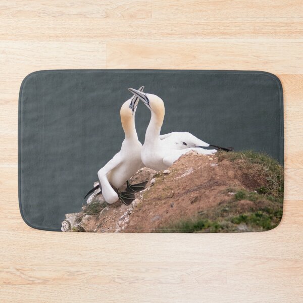 Item preview, Pair of gannets designed and sold by HazelWright.