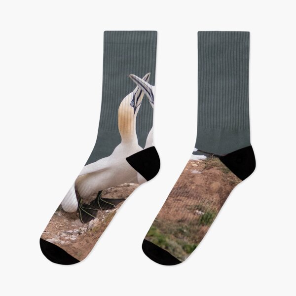 Item preview, Pair of gannets designed and sold by HazelWright.