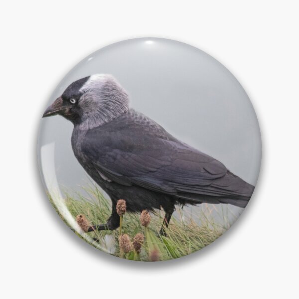 Item preview, Jackdaw on cliff edge designed and sold by HazelWright.