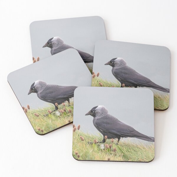 Item preview, Jackdaw on cliff edge designed and sold by HazelWright.