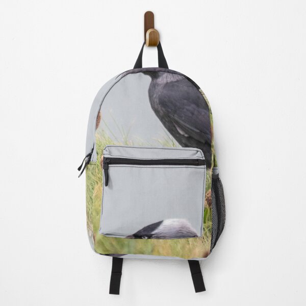 Item preview, Jackdaw on cliff edge designed and sold by HazelWright.