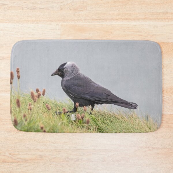 Item preview, Jackdaw on cliff edge designed and sold by HazelWright.