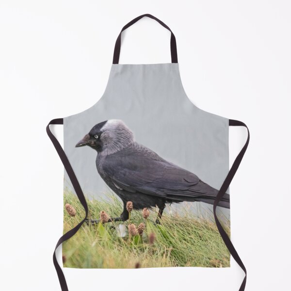 Item preview, Jackdaw on cliff edge designed and sold by HazelWright.