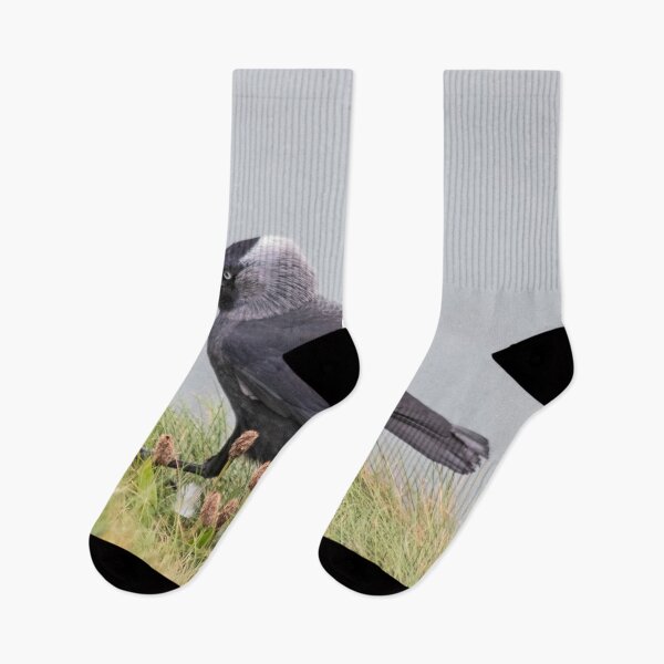 Item preview, Jackdaw on cliff edge designed and sold by HazelWright.