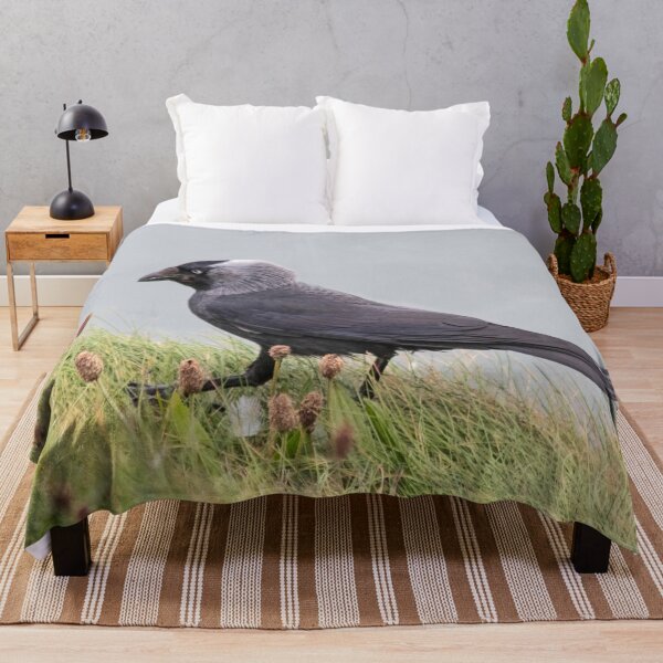 Item preview, Jackdaw on cliff edge designed and sold by HazelWright.