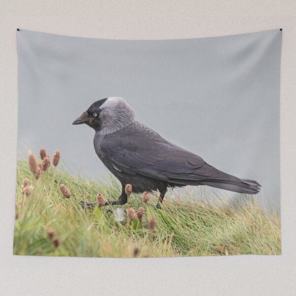 Item preview, Jackdaw on cliff edge designed and sold by HazelWright.