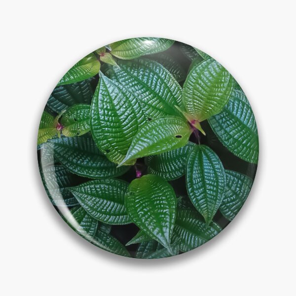 Artikelvorschau, green leaves, green nature entworfen und verkauft von APURU.