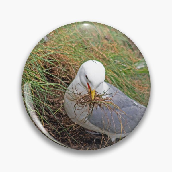 Item preview, Kittiwake collecting grass for a nest designed and sold by HazelWright.