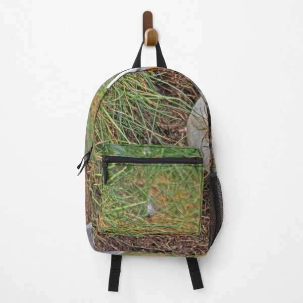 Item preview, Kittiwake collecting grass for a nest designed and sold by HazelWright.