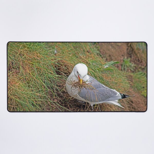 Item preview, Kittiwake collecting grass for a nest designed and sold by HazelWright.
