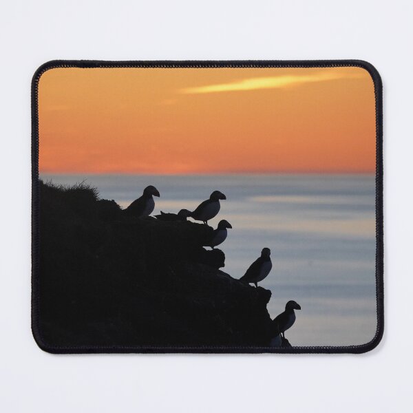 Item preview, Puffins silhouettes in the midnight sun designed and sold by elisainiceland.