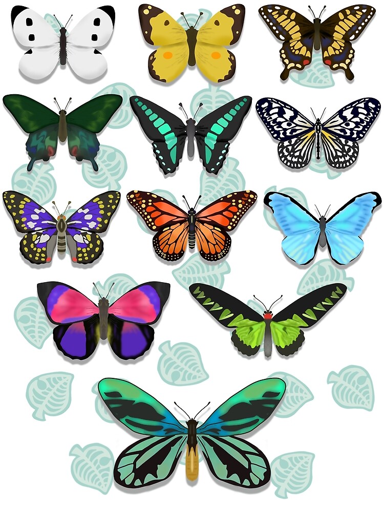 "ACNH Butterflies Collage" Poster for Sale by littlemixer0207 Redbubble