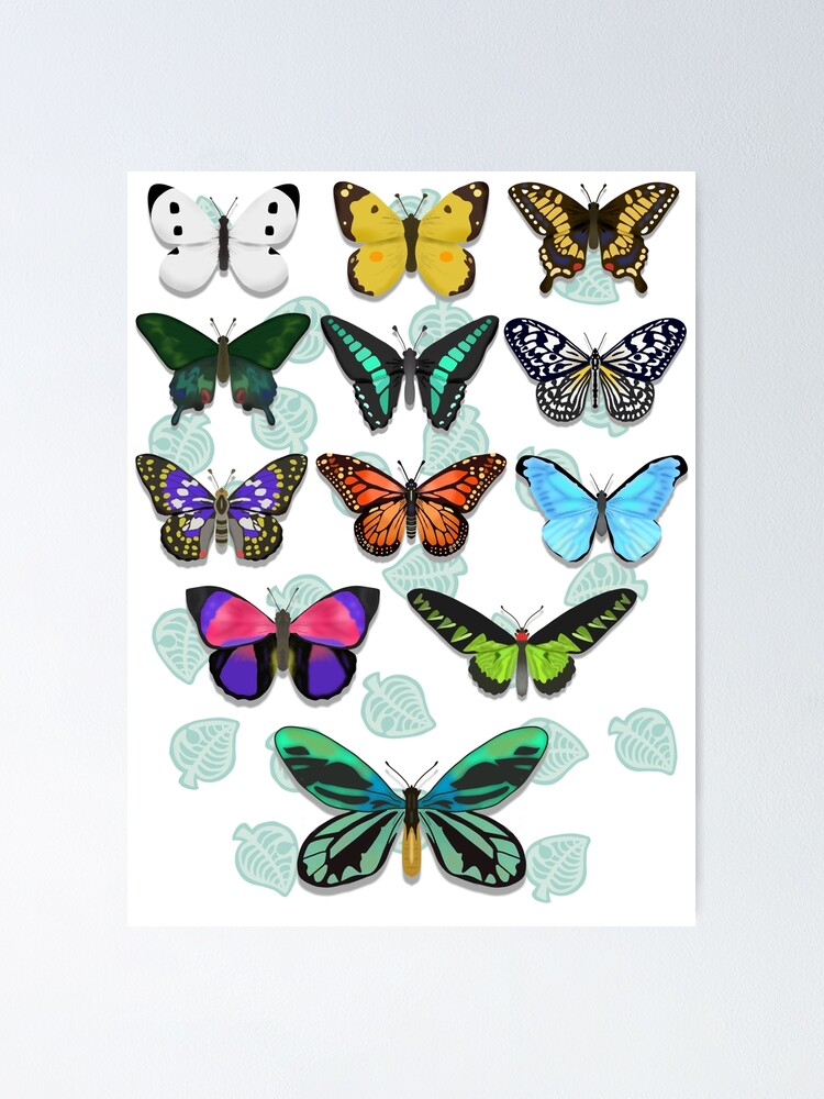 "ACNH Butterflies Collage" Poster for Sale by littlemixer0207 Redbubble