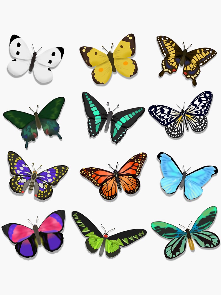 "ACNH Butterflies Collage" Sticker for Sale by littlemixer0207 Redbubble