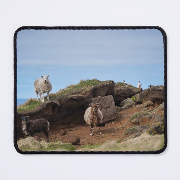 Item preview, Sheep and puffins on Grimsey designed and sold by elisainiceland.