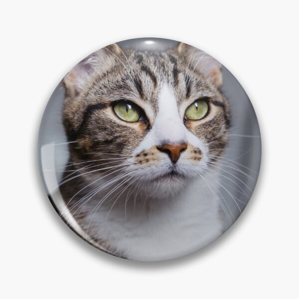 Item preview, Cat looking at owner designed and sold by BenDover90.