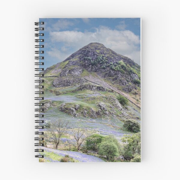 Item preview, Rannerdale Knott Bluebells designed and sold by Jamesmarsden.