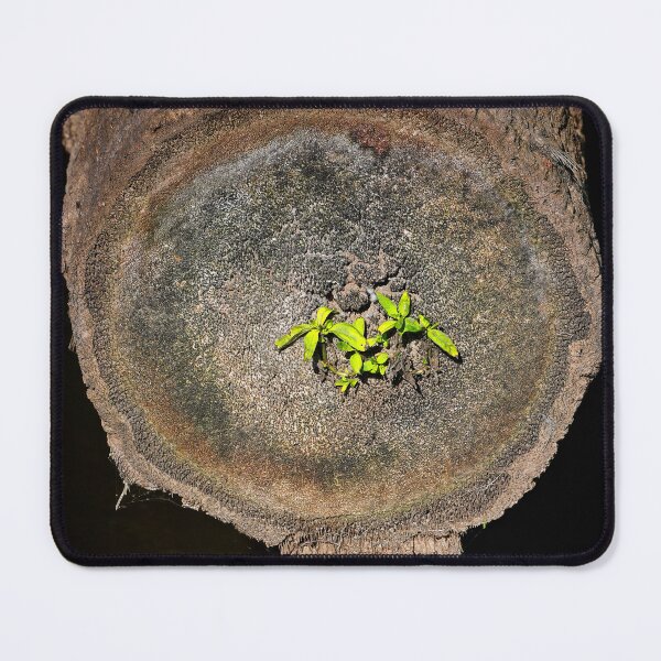 Item preview, Life Perseveres  designed and sold by Dead-Moroz.