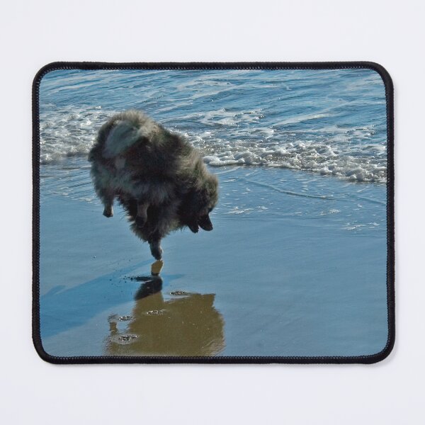 Item preview, Keeshond Ballet designed and sold by alpendesigns.