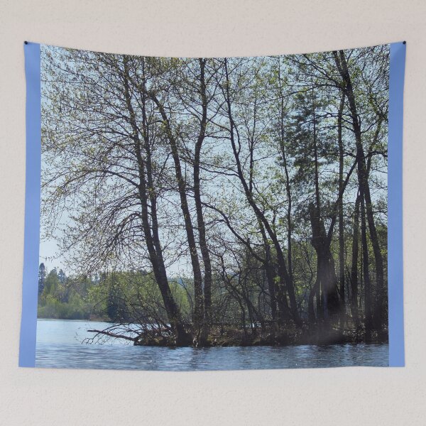 Item preview, Birches by the lake designed and sold by Jouko Lehto Photography.