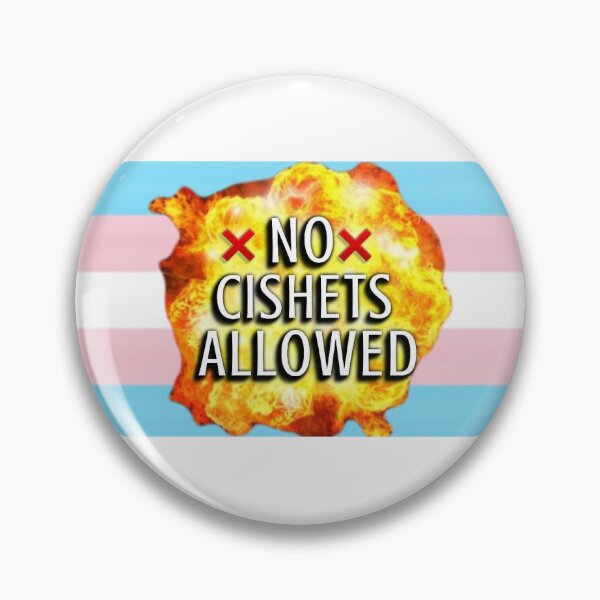 Artikelvorschau, No Cishets Allowed Unique Funny Trans T4T Pride Flag entworfen und verkauft von EmJKDesigns.