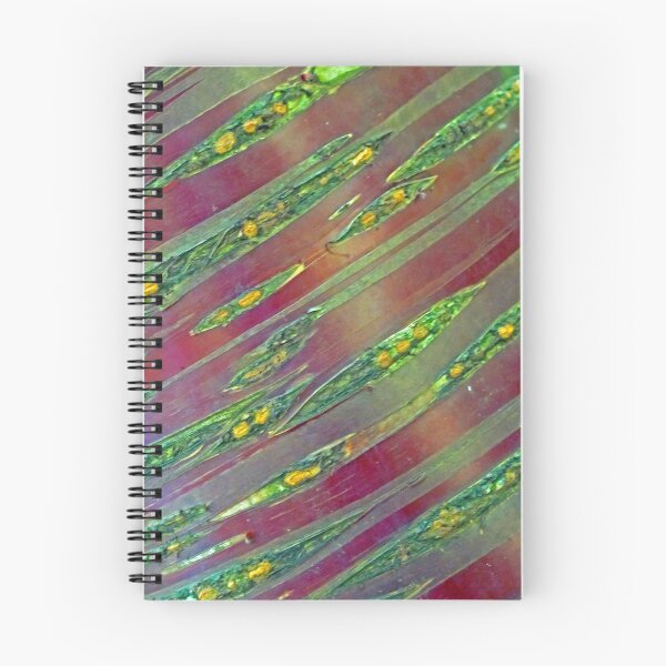 Item preview, Natural Abstracts - Himalayan Cherry Tree designed and sold by RedHillDigital.