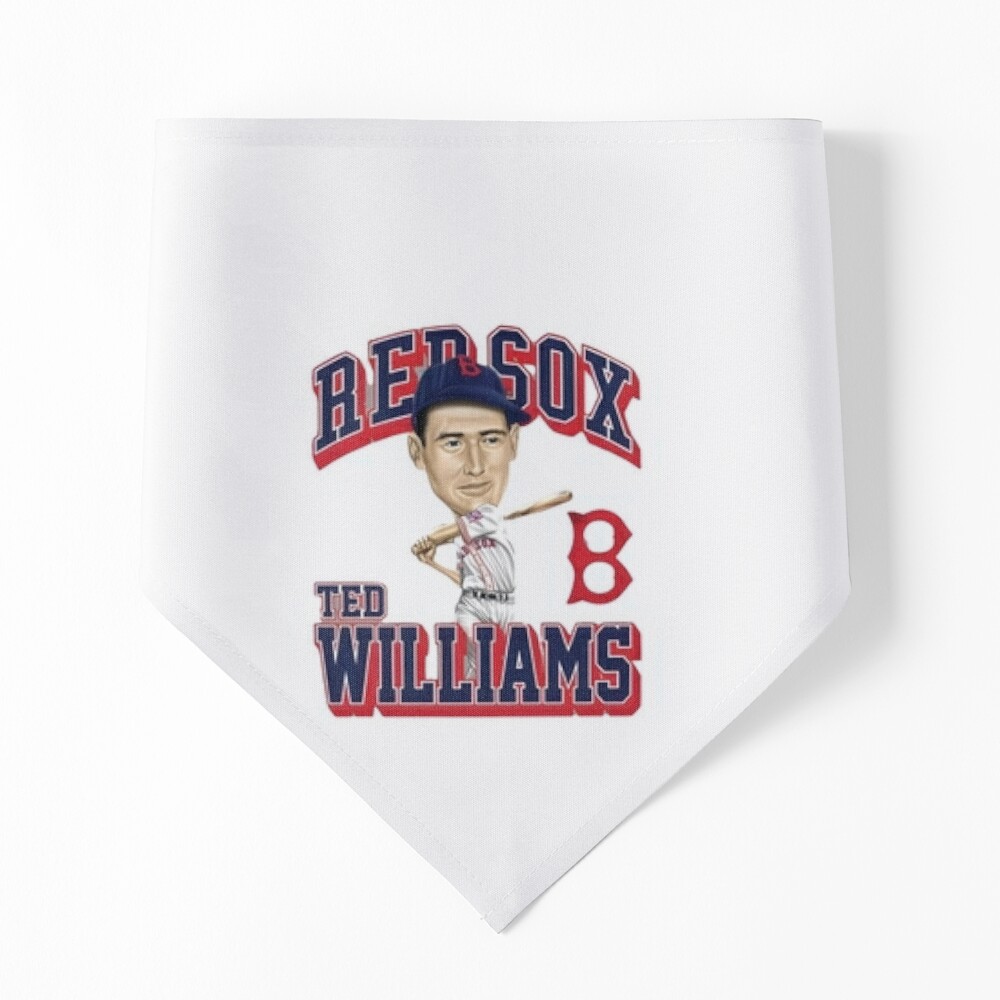 BeantownTshirts Hit Like Ted Boston Baseball Ted Williams Sports Fan T Shirt V-Neck / Navy / Medium