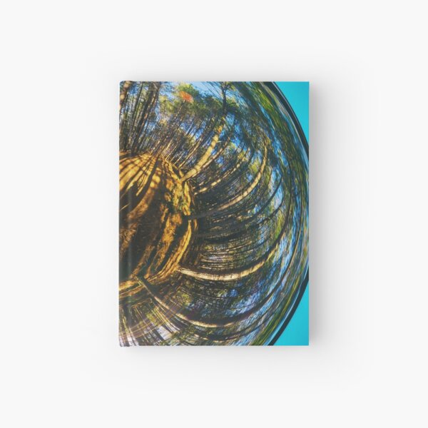 Giant peach Hardcover Journal