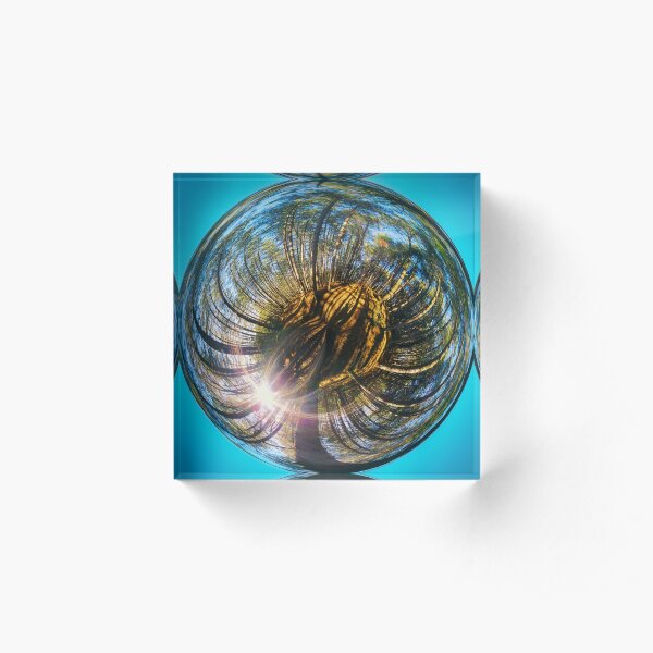 Giant peach Acrylic Block