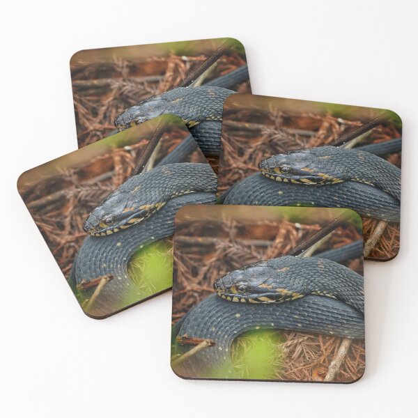 Item preview, Watersnake in repose  designed and sold by Dead-Moroz.