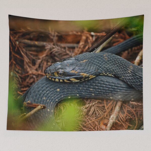Item preview, Watersnake in repose  designed and sold by Dead-Moroz.