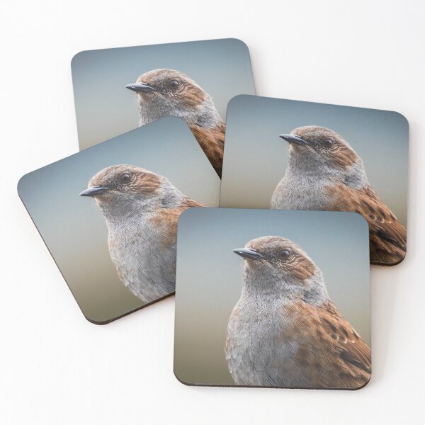 Item preview, Dunnock in the garden designed and sold by Claire Hawken.