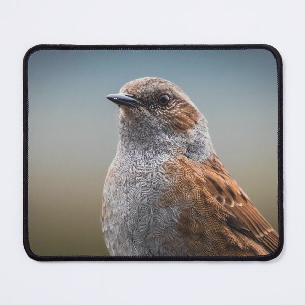Item preview, Dunnock in the garden designed and sold by Claire Hawken.