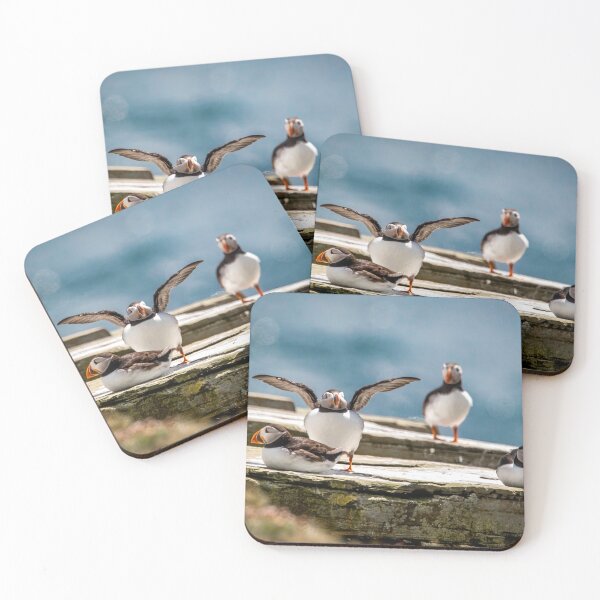 Item preview, Sunbathing Puffins designed and sold by Claire Hawken.