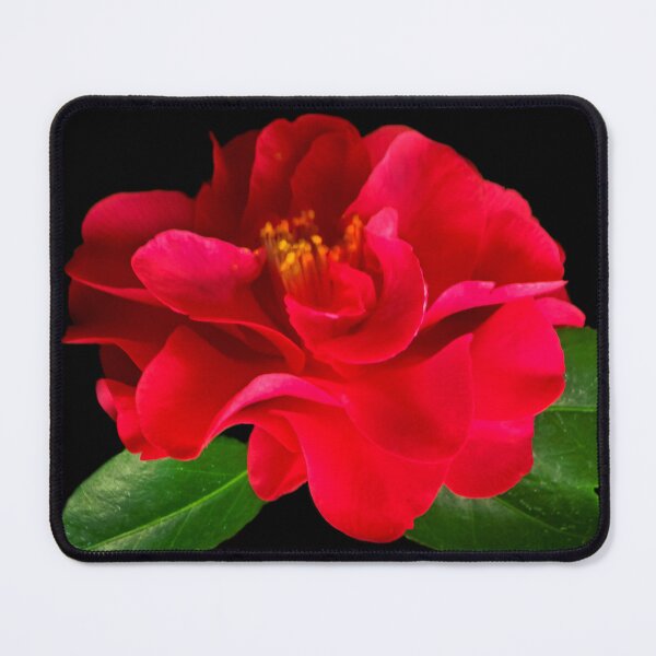 Item preview, Camellia Queen  designed and sold by heatherfriedman.