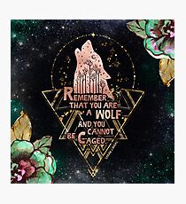 ACOWAR - Wolf Fotodruck