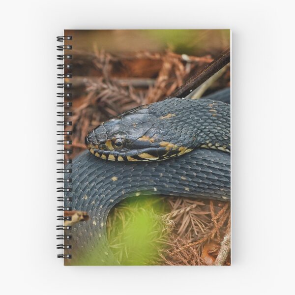 Item preview, Watersnake in repose  designed and sold by Dead-Moroz.