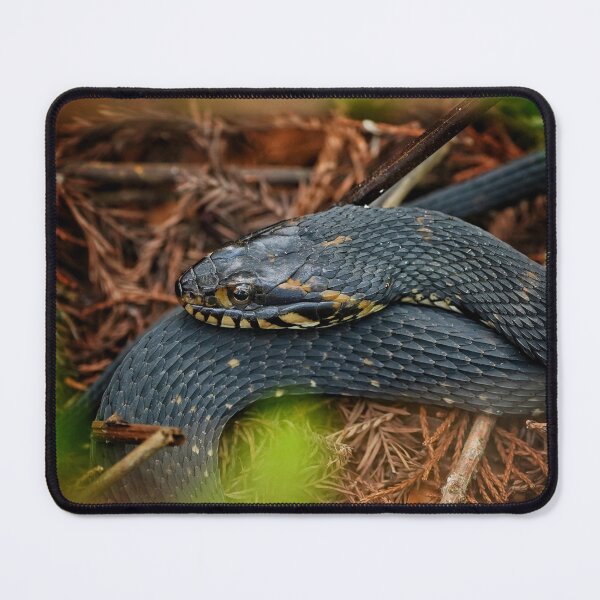 Item preview, Watersnake in repose  designed and sold by Dead-Moroz.