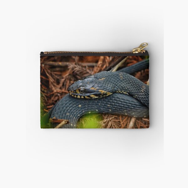 Item preview, Watersnake in repose  designed and sold by Dead-Moroz.