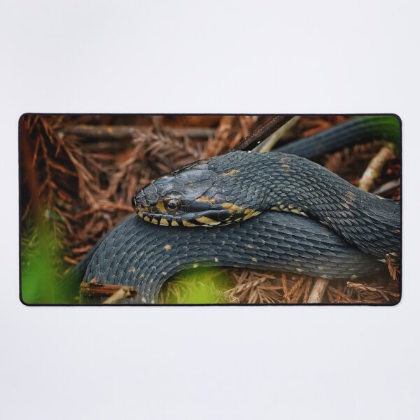 Item preview, Watersnake in repose designed and sold by Dead-Moroz.