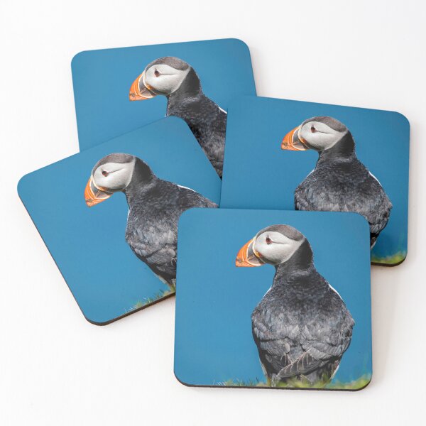 Item preview, Tammie Norrie designed and sold by Claire Hawken.