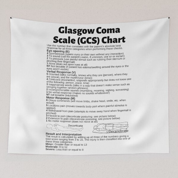 Item preview, Glasgow Coma Scale (GCS) Chart Infographic designed and sold by Caregiverology.