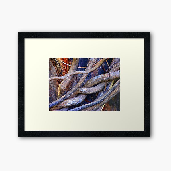 Limbs Entwined Framed Art Print