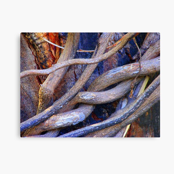 Limbs Entwined Canvas Print