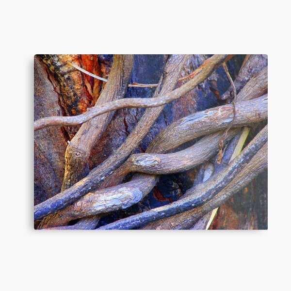 Limbs Entwined Metal Print