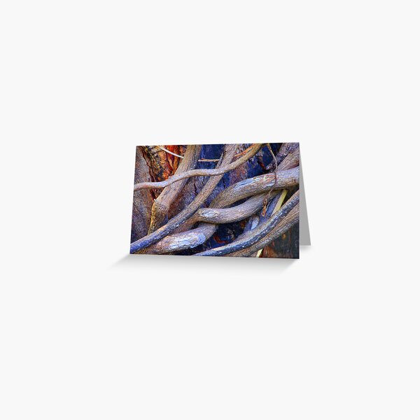 Limbs Entwined Greeting Card