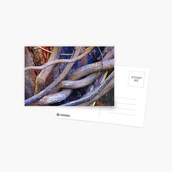 Limbs Entwined Postcard