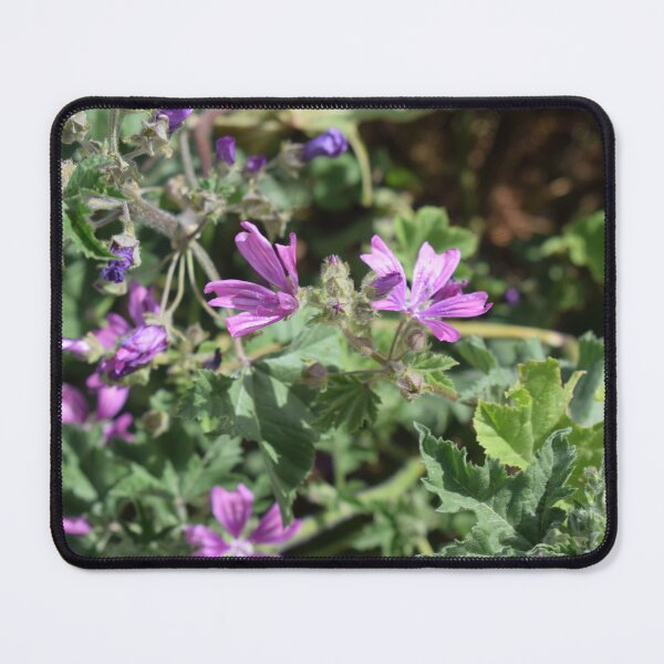 Item preview, Malva Sylvestris 1 designed and sold by Furiarossa.