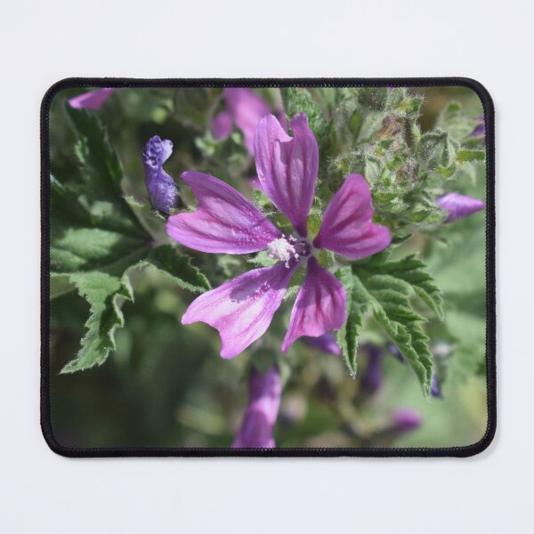 Item preview, Malva Sylvestris 2 designed and sold by Furiarossa.